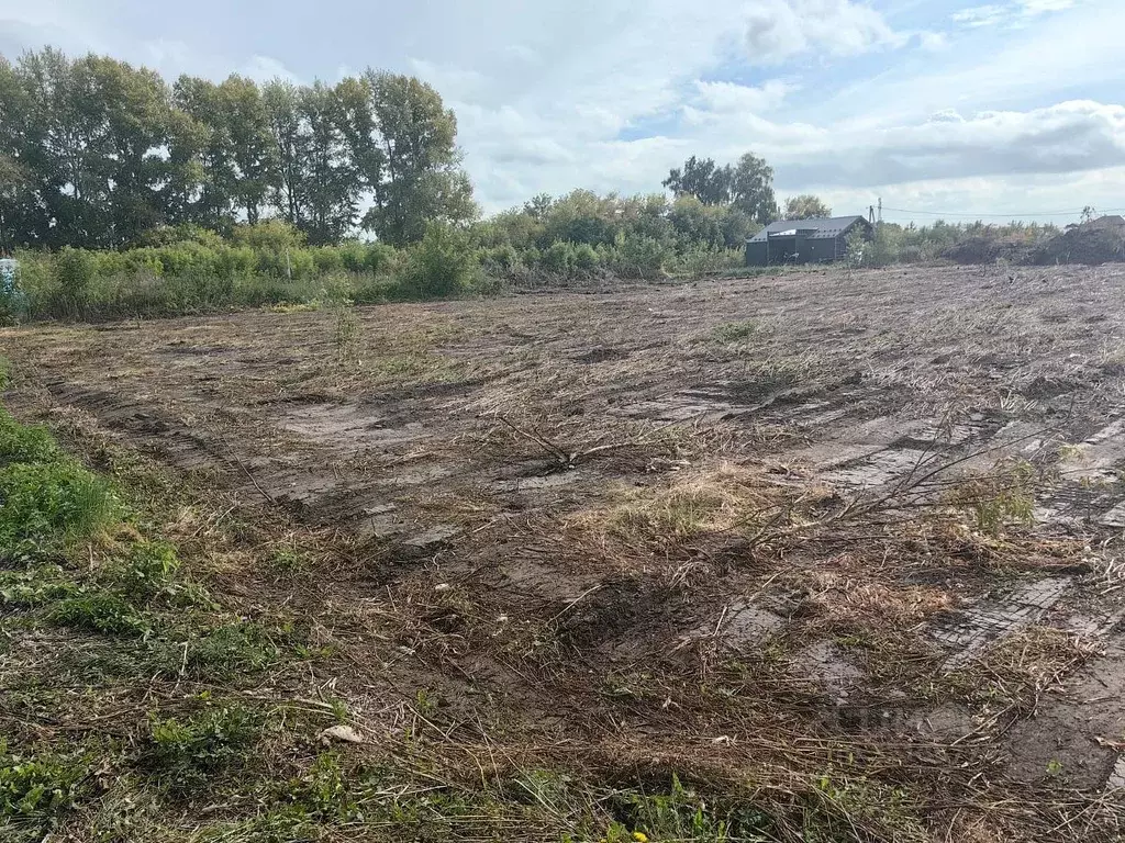 Участок в Новосибирская область, Новосибирский район, Морской ... - Фото 2