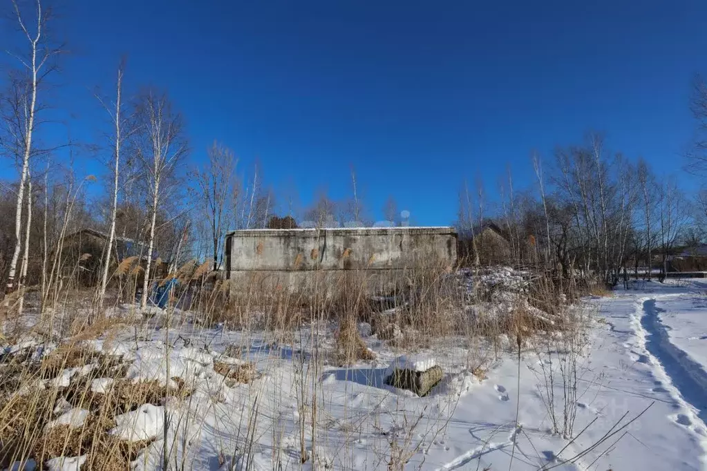 Участок в Хабаровский край, Хабаровский район, с. Некрасовка Школьная ... - Фото 1