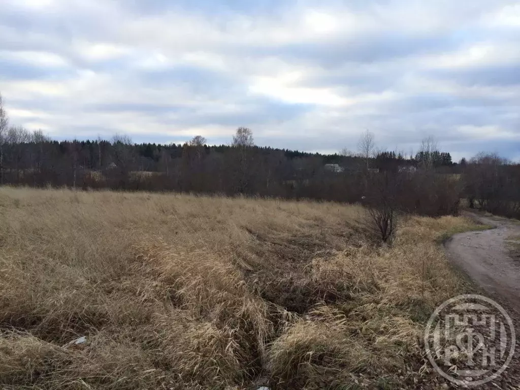 Участок в Ленинградская область, Выборгский район, Полянское с/пос, д. ... - Фото 2