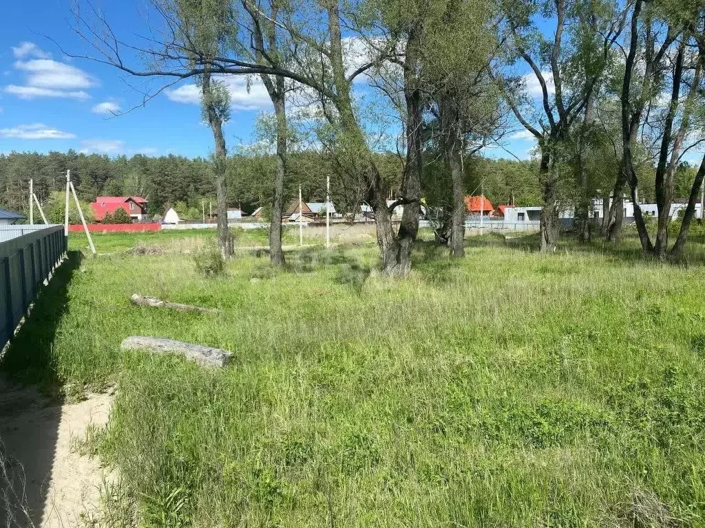 Участок в Новосибирская область, Новосибирский район, Кудряшовский ... - Фото 0