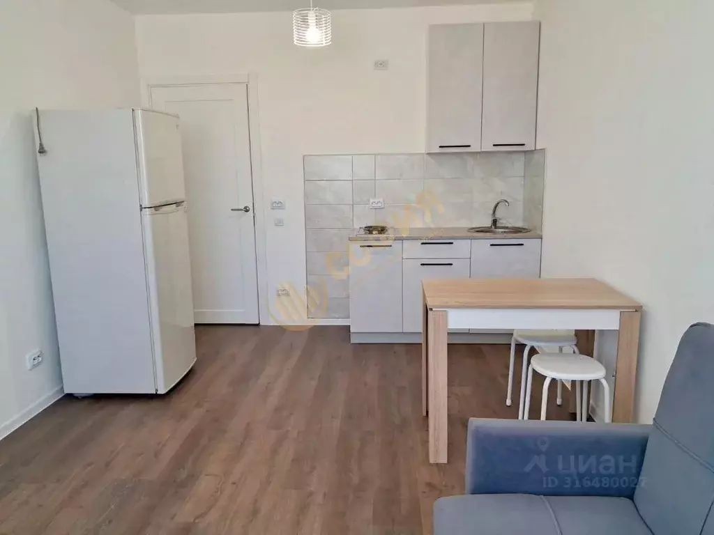Студия Санкт-Петербург дор. Муринская, 29 (22.0 м) - Фото 0