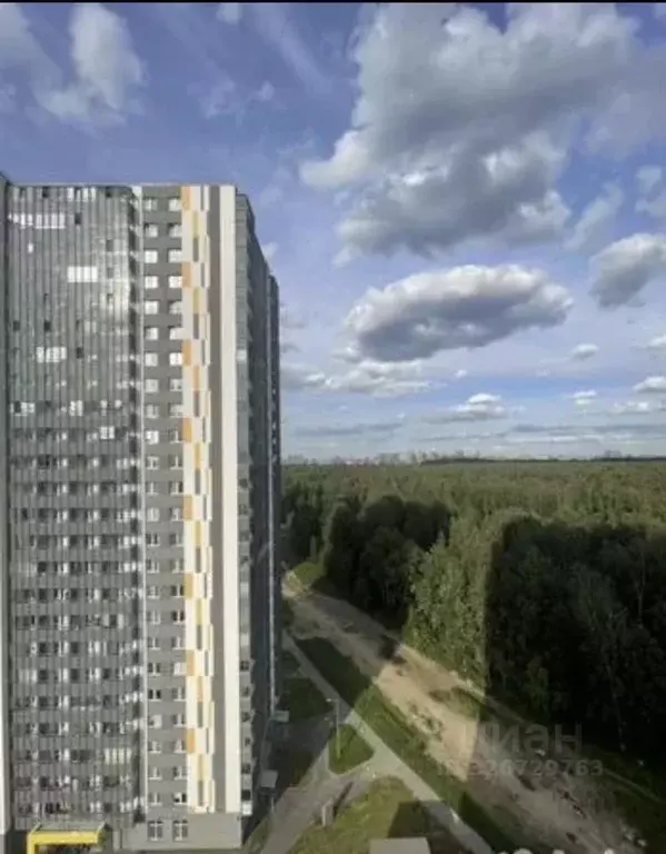 Студия Санкт-Петербург наб. Реки Каменки, 23 (20.0 м) - Фото 2