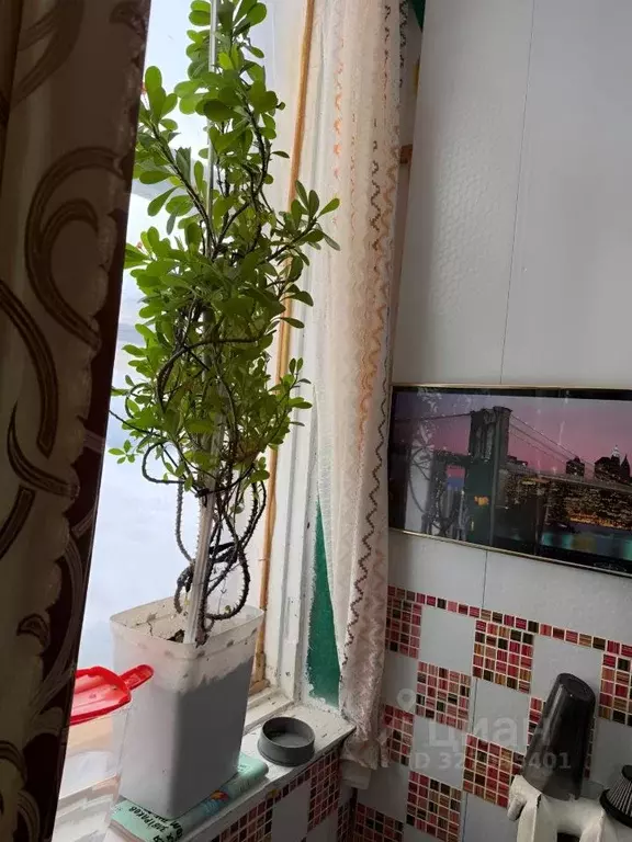 Комната Нижегородская область, Нижний Новгород пос. Мостоотряд, 19 ... - Фото 1