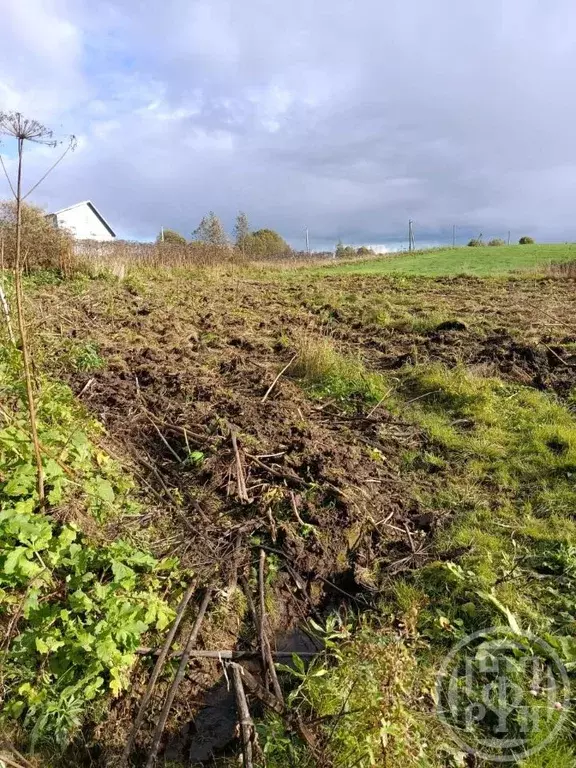 Участок в Ленинградская область, Лужский район, Заклинское с/пос, д. ... - Фото 1