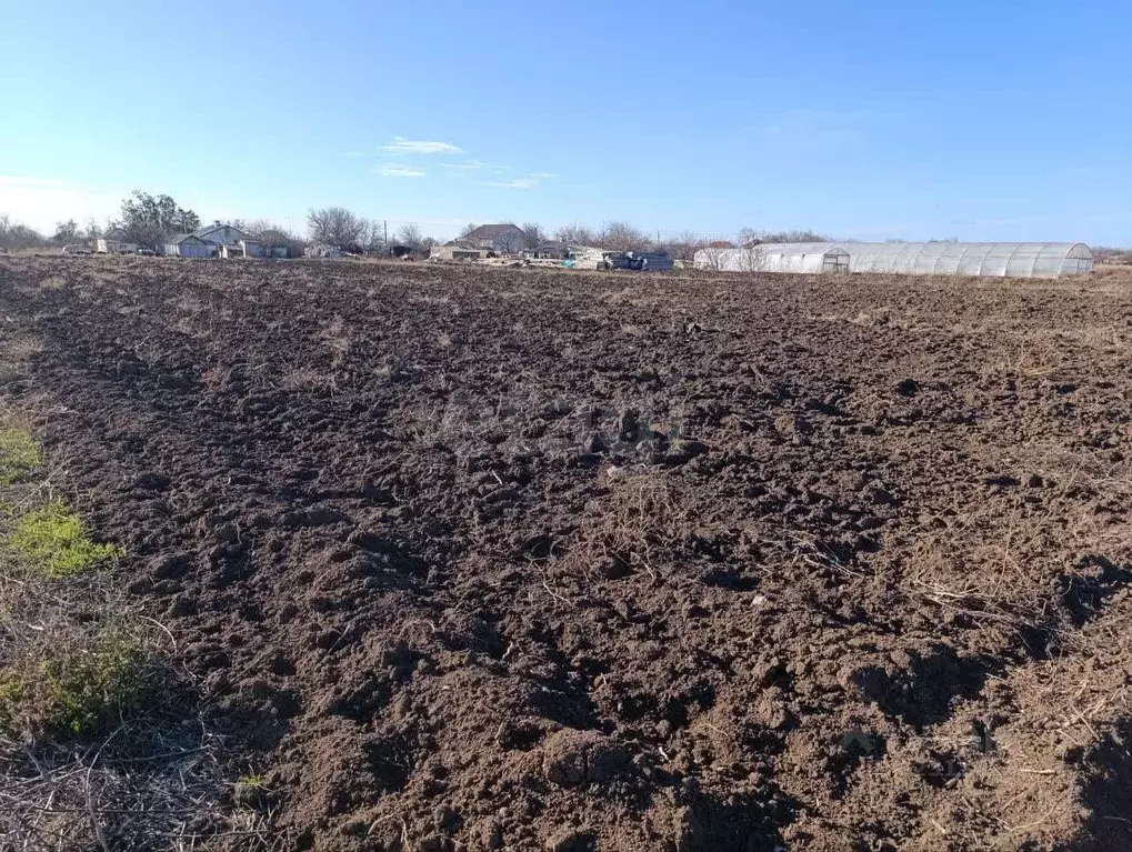 Участок в Крым, Черноморский район, Окуневское с/пос, с. Знаменское ... - Фото 0