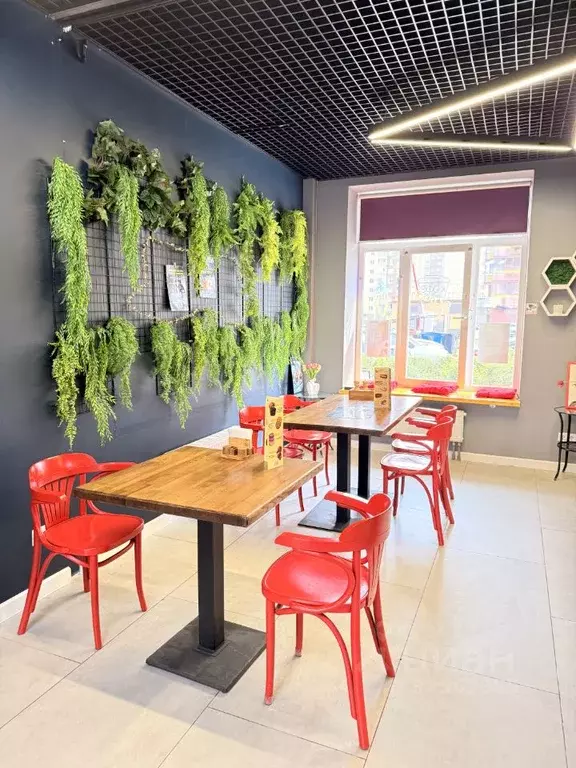 Помещение свободного назначения в Московская область, Люберцы Зенино ... - Фото 1