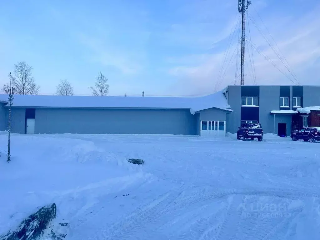 Помещение свободного назначения в Пермский край, пос. Ильинский ул. ... - Фото 1