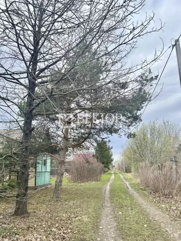 Участок в Костромская область, Костромской район, Бакшеевское с/пос, ... - Фото 2