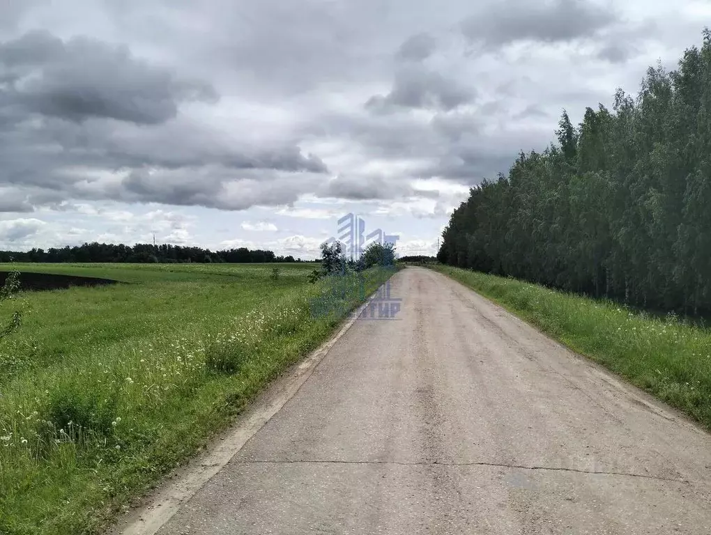 Участок в Чувашия, Моргаушский муниципальный округ, д. Шомиково  (15.0 ... - Фото 1