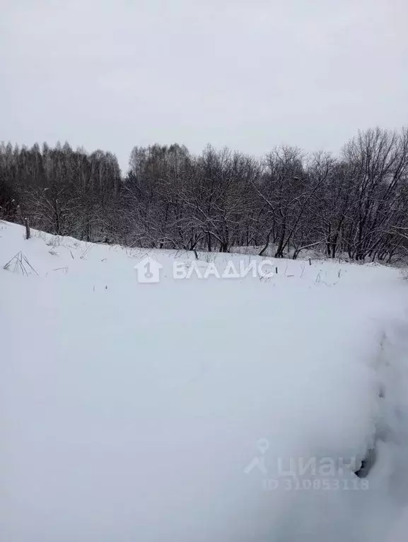 Участок в Новосибирская область, Искитимский район, Морозовский ... - Фото 0