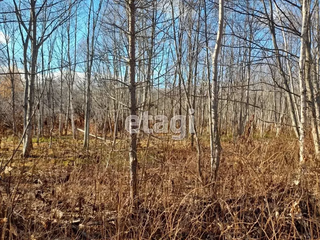 Участок в Сахалинская область, Южно-Сахалинск городской округ, с. ... - Фото 0