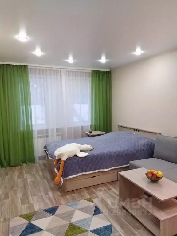 1-к кв. Мурманская область, Кировск ул. Шилейко, 4 (30.0 м) - Фото 1