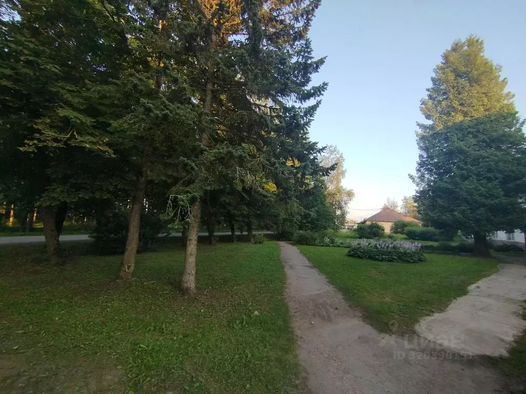 2-к кв. Новгородская область, Новгородский район, Борковское с/пос, д. ... - Фото 0