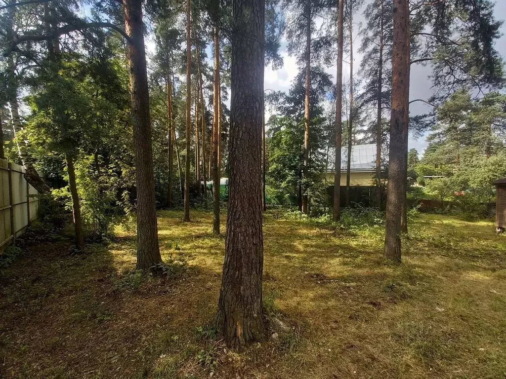 Участок в Ленинградская область, Всеволожск Колтушское ш., 246 (10.0 ... - Фото 2