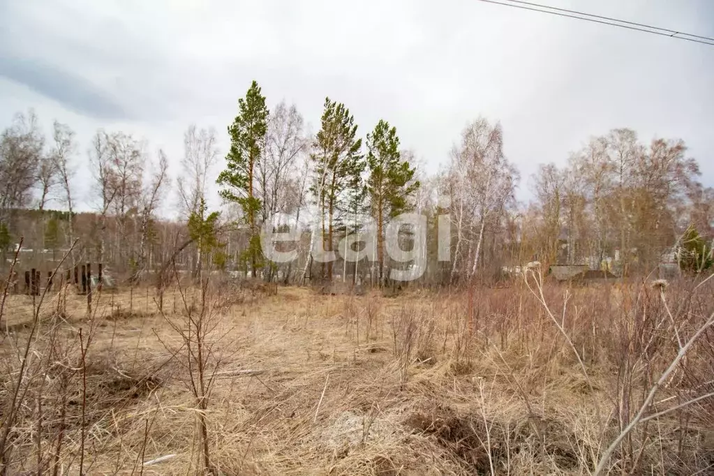 Участок в Красноярский край, Красноярск Родничок-2 СНТ,  (10.0 сот.) - Фото 0