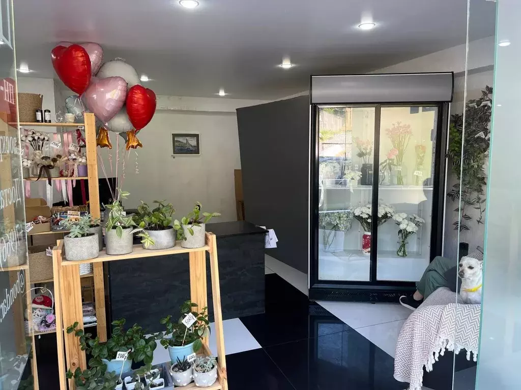 Помещение свободного назначения в Краснодарский край, Сочи Новый Сочи ... - Фото 2