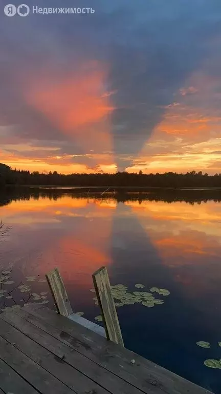 Участок в Медведское сельское поселение (13 м) - Фото 1