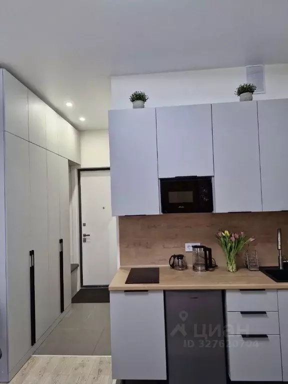 Студия Москва бул. Скандинавский, 14 (22.0 м) - Фото 1