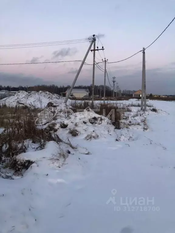 Участок в Тюменская область, Нижнетавдинский район, Геолог-2 СНТ 5-я ... - Фото 1