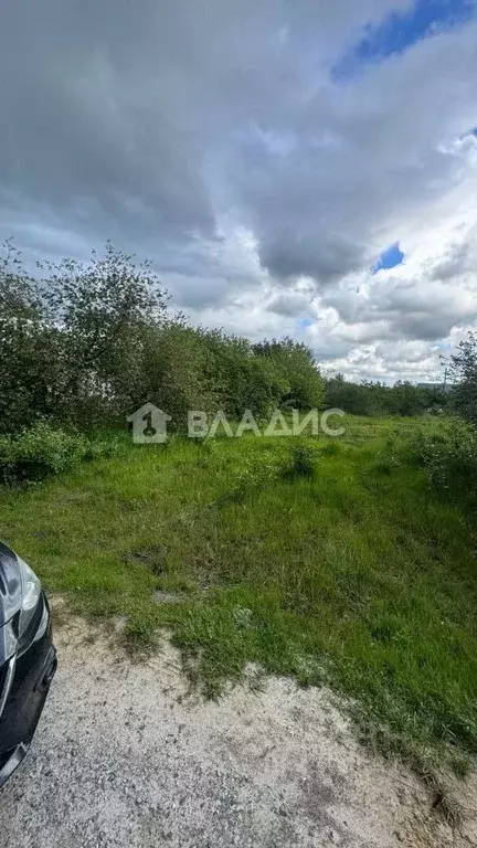 Участок в Белгородская область, Яковлевский муниципальный округ, ... - Фото 1