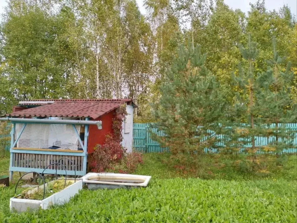 Дом в Ярославская область, Ярославский муниципальный округ, Сабельницы ... - Фото 2