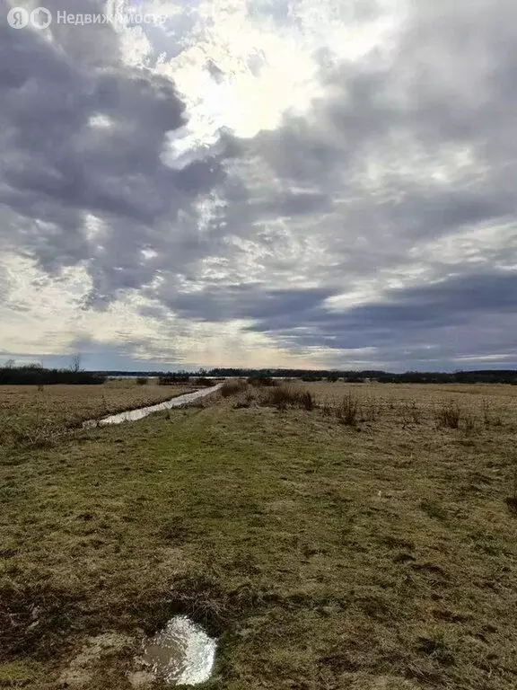 Участок в Ярославская область, Рыбинский муниципальный округ, деревня ... - Фото 1