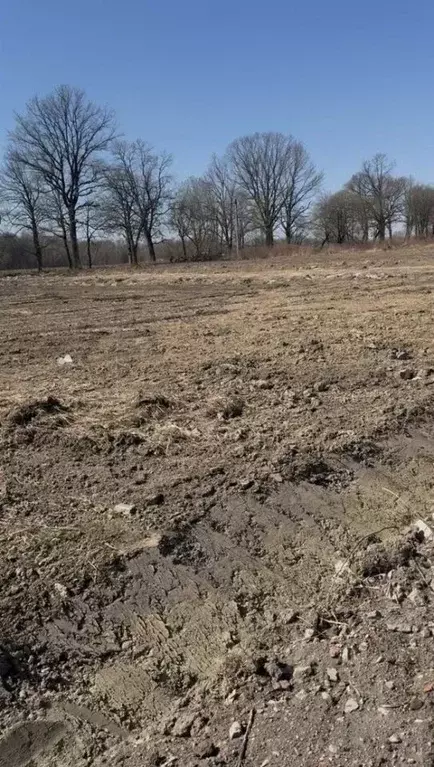 Участок в Калининградская область, Зеленоградский муниципальный округ, ... - Фото 1
