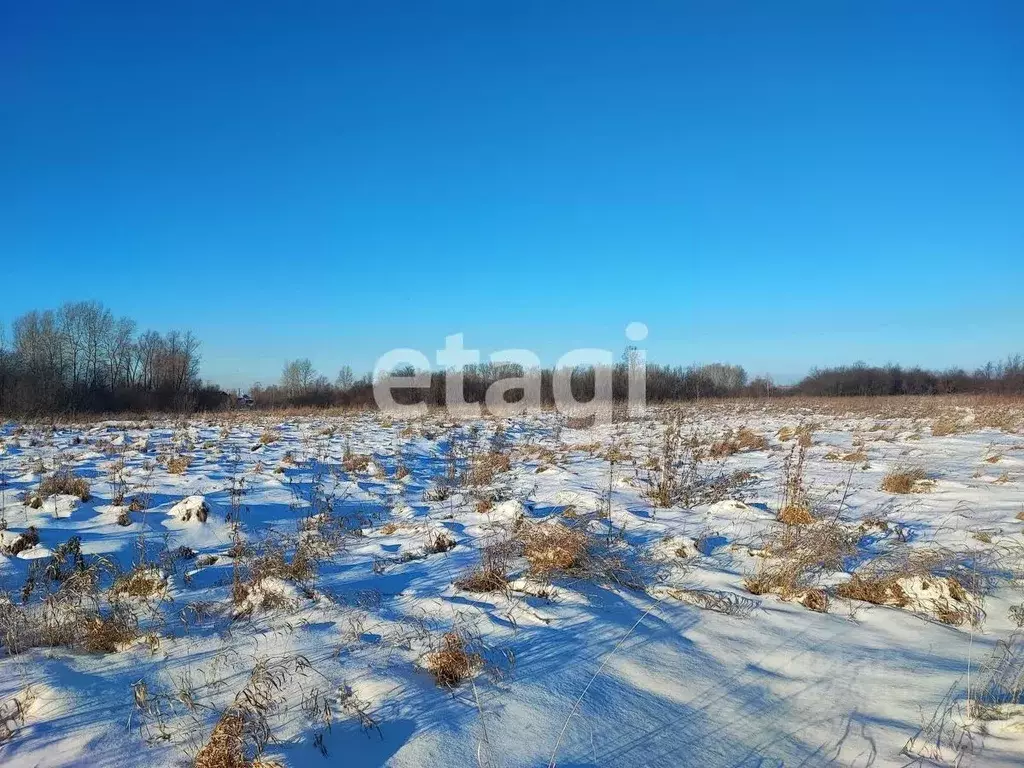 Участок в Красноярский край, Березовский район, Бархатовский ... - Фото 1