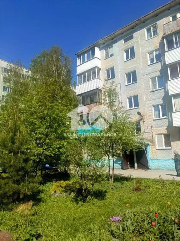 2-к кв. Новосибирская область, Новосибирск ул. Петухова, 46 (46.2 м) - Фото 0