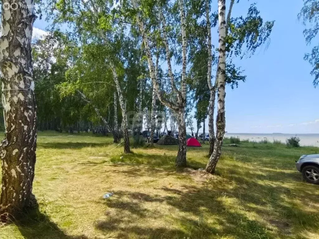 Участок в Быстровский сельсовет, посёлок Тула (21 м) - Фото 1