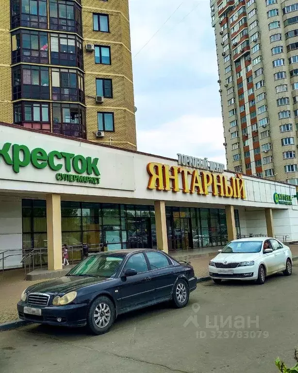 Торговая площадь в Московская область, Балашиха Янтарный мкр, ул. ... - Фото 2