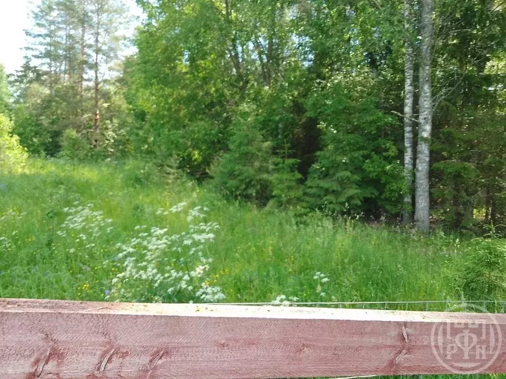 Участок в Ленинградская область, Лужский район, Серебрянское с/пос, д. ... - Фото 2