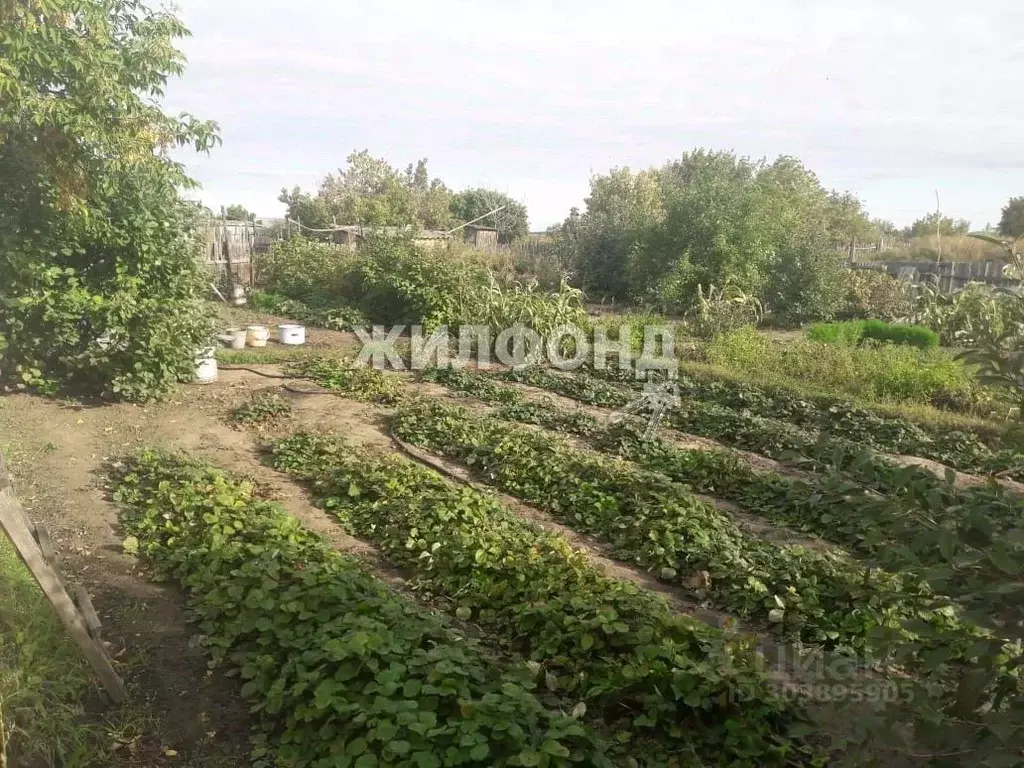 Дом в Новосибирская область, Карасукский муниципальный округ, пос. ... - Фото 1