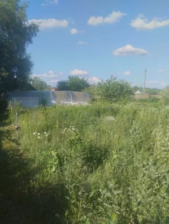 Участок в Новгородская область, Новгородский район, Бронницкое с/пос, ... - Фото 1