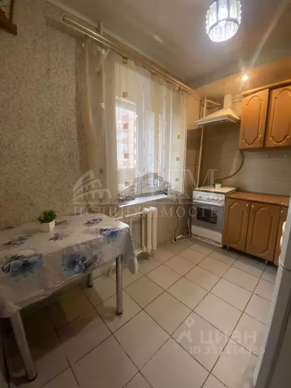 1-к кв. Пензенская область, Пенза ул. Терновского, 209 (24.4 м) - Фото 2