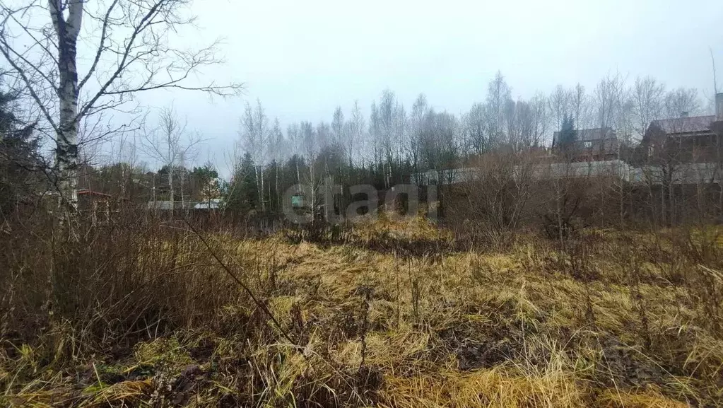 Участок в Московская область, Рузский муниципальный округ, д. ... - Фото 2