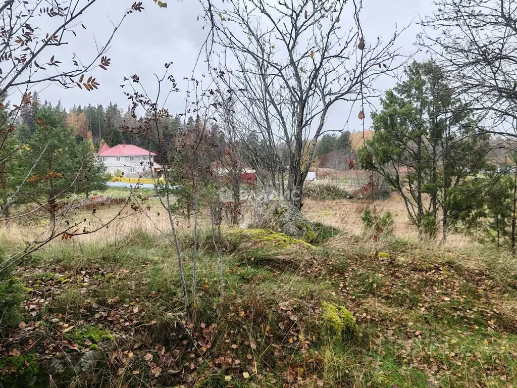 Участок в Ленинградская область, Приозерский район, Мельниковское ... - Фото 2