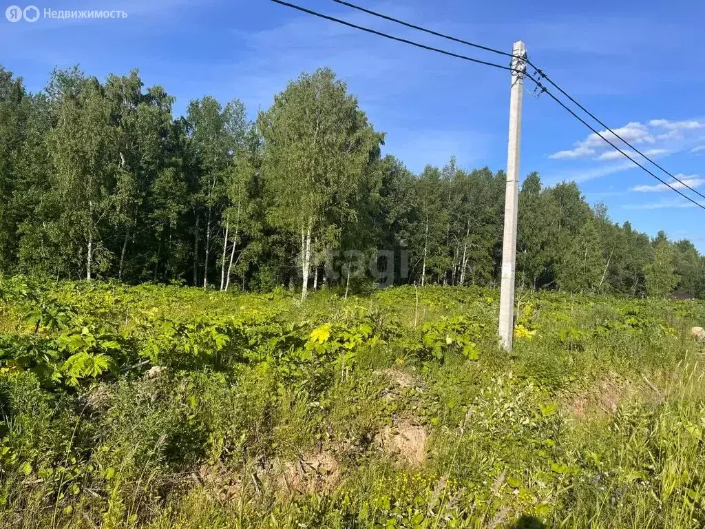 Участок в Республика Коми, муниципальный район Сыктывдинский, ... - Фото 0