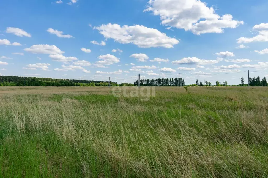Купить Земельный Участок В Луговом Ульяновск