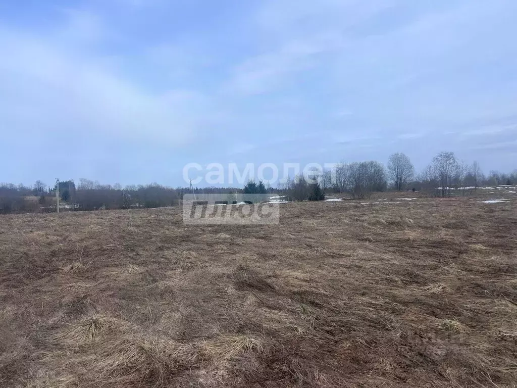 Участок в Вологодская область, д. Дюково  (20.1 сот.) - Фото 1