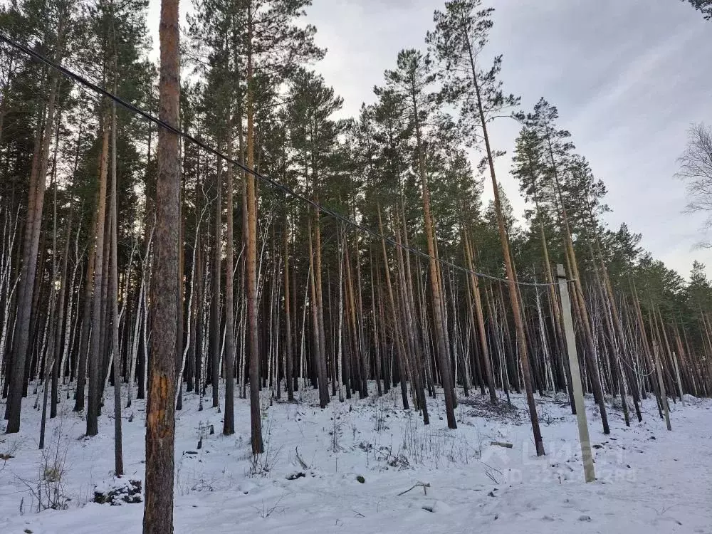 Участок в Иркутская область, Иркутский муниципальный округ, д. ... - Фото 2