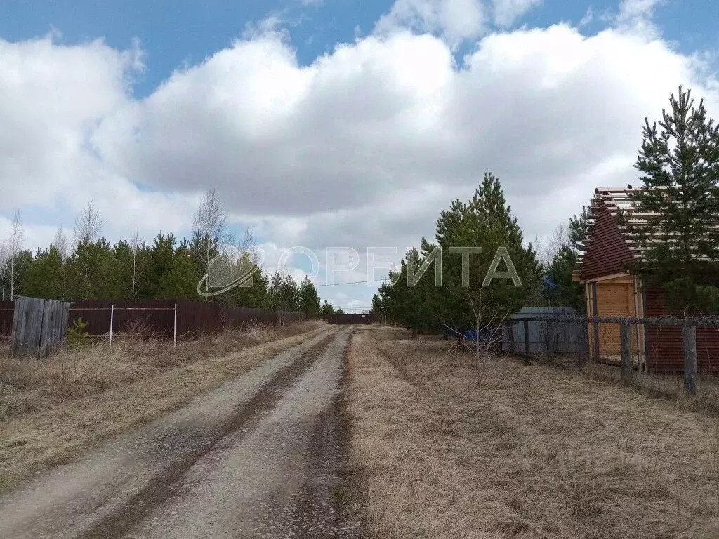Участок в Тюменская область, Ялуторовский район, д. Сингуль  (12.0 ... - Фото 1