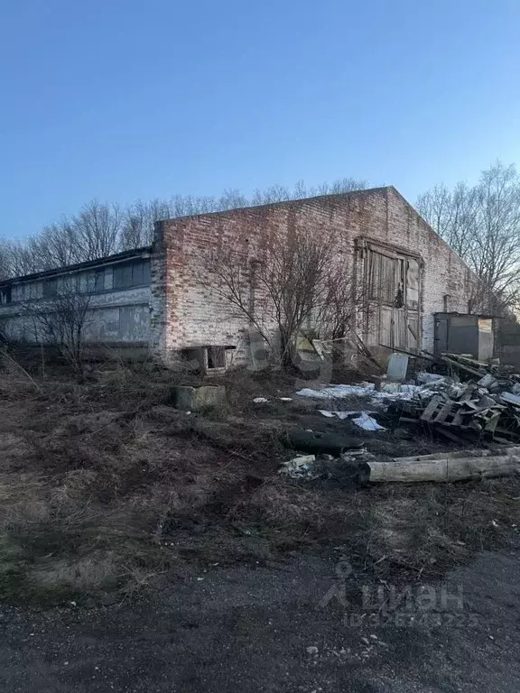 Склад в Тульская область, Алексин городской округ, д. Борисово  (1786 ... - Фото 1