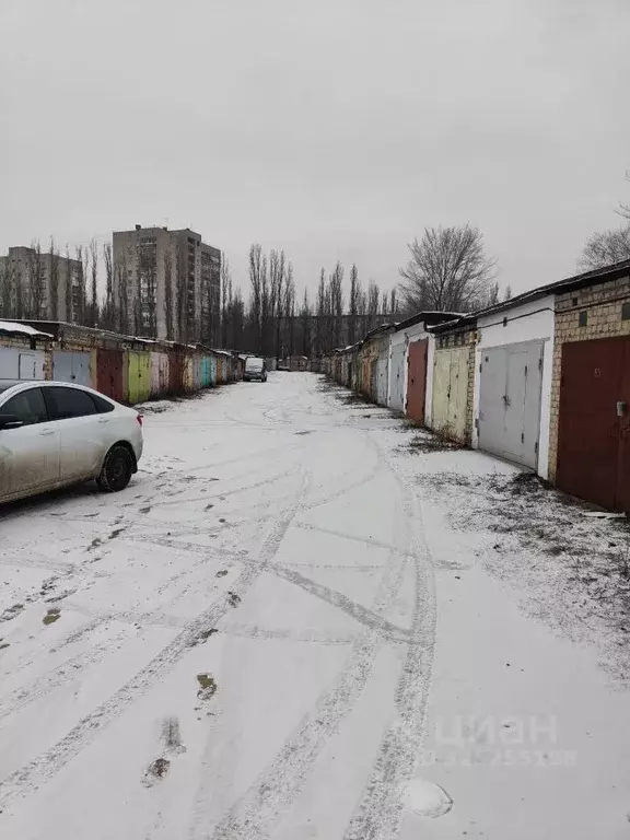 Гараж в Воронежская область, Воронеж ул. Любы Шевцовой, 28/2 (24 м) - Фото 1
