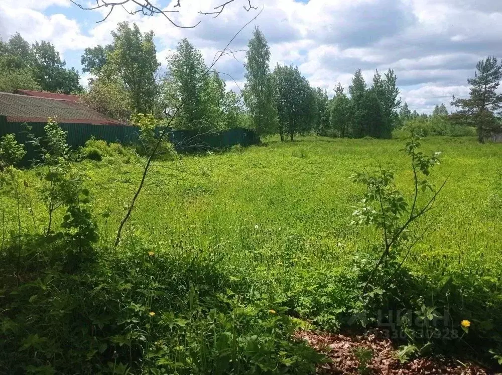 Участок в Тверская область, Оленинский район, д. Лытница  (15.0 сот.) - Фото 2