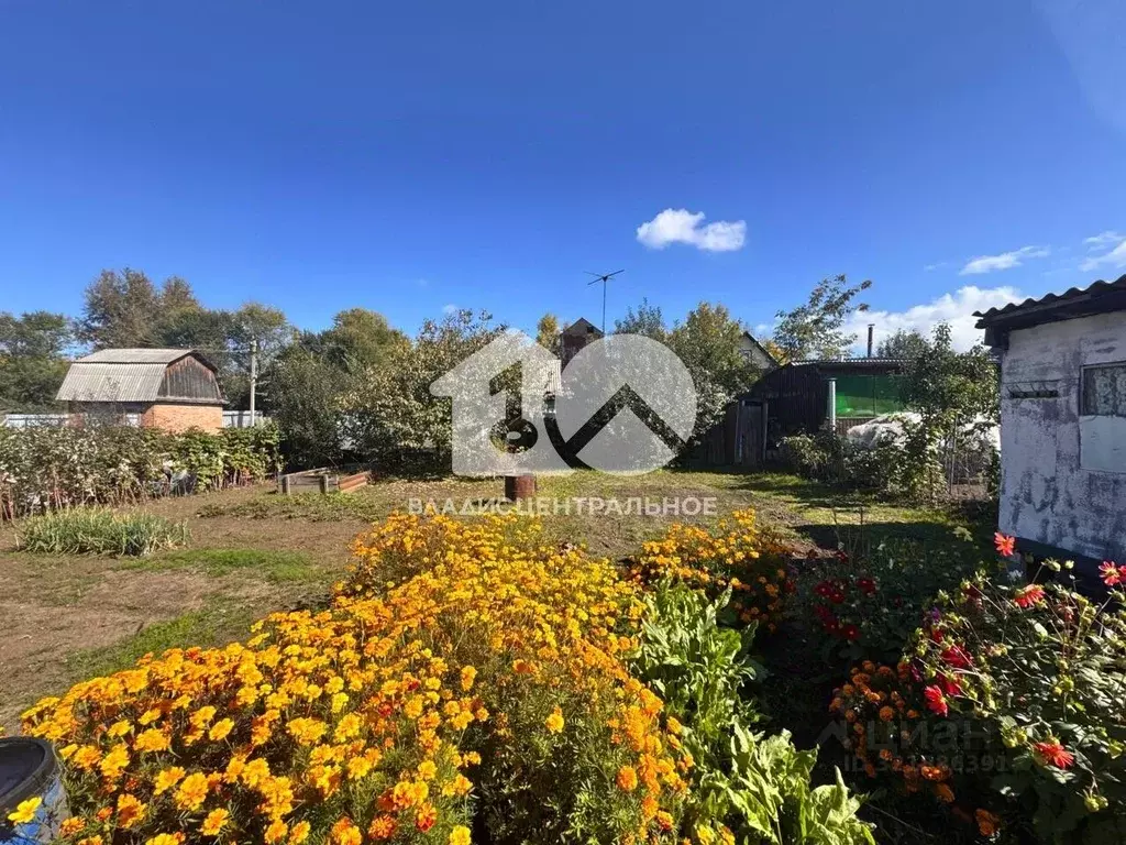 Участок в Новосибирская область, Бердск Восток-1 СНТ, ул. Озерная, 172 ... - Фото 1