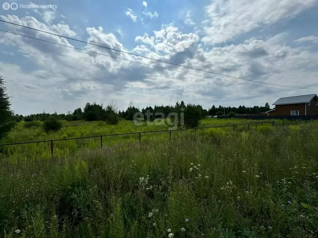 Участок в Нижегородская область, Городецкий муниципальный округ, ... - Фото 1