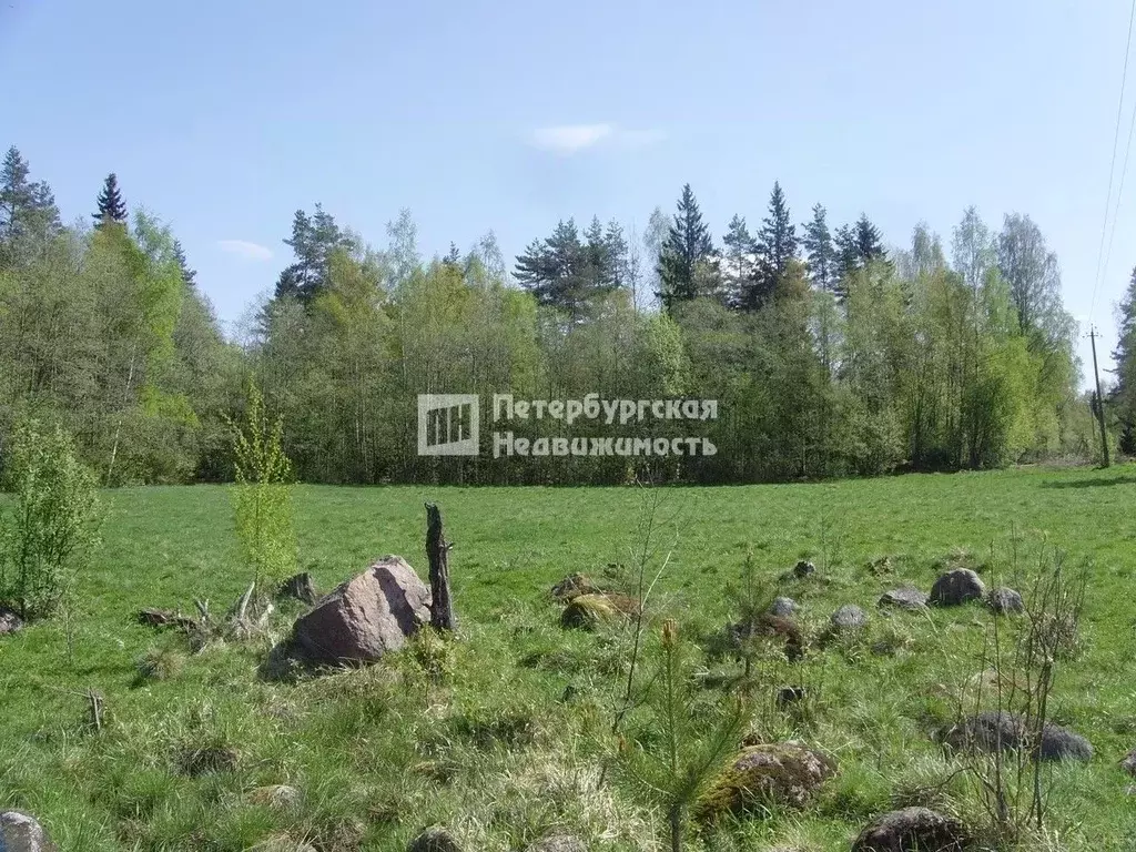 Участок в Ленинградская область, Выборгский район, Советское городское ... - Фото 0