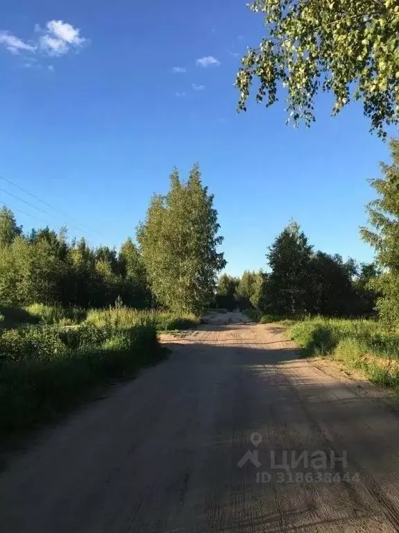 Участок в Рязанская область, Рязанский район, Мурминское с/пос, ... - Фото 1