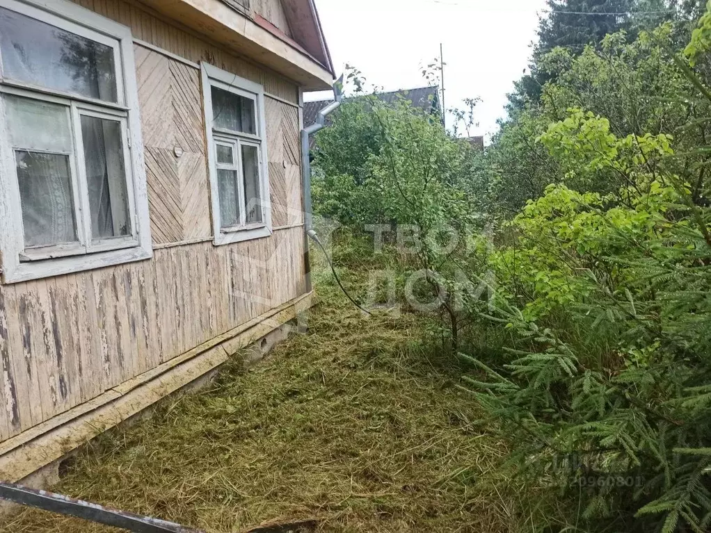 Участок в Ленинградская область, Кировский район, Мгинское городское ... - Фото 1